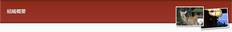 組織概要