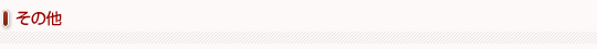その他